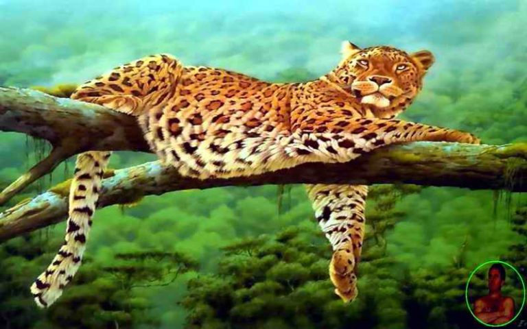 Video fajl montiran od slika i muzike