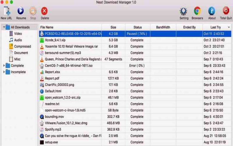 NEAT DOWNLOAD MANAGER