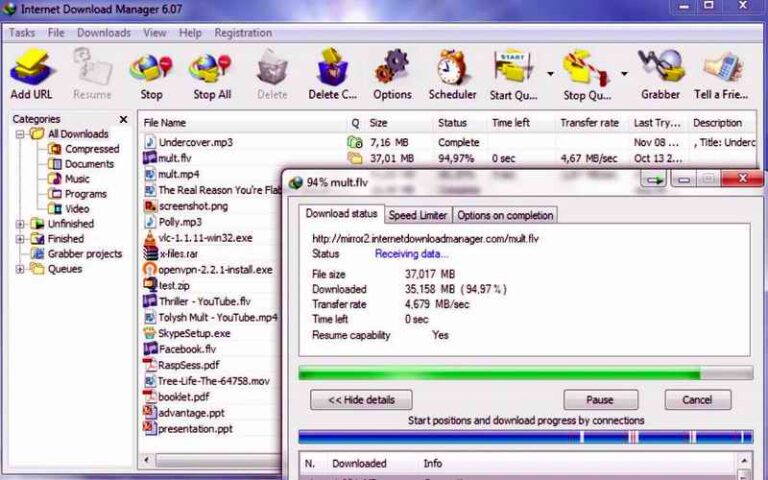 INTERNET DOWNLOAD MANAGER